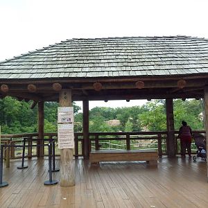 Africa! - Reticulated Giraffe/Gerenuk/Thomson's Gazelle Exhibit