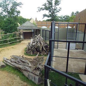 Africa! - Reticulated Giraffe/Gerenuk/Thomson's Gazelle Exhibit