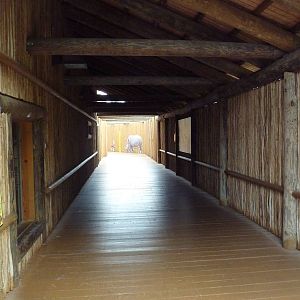 Africa! - Giraffe to Rhino Walkway