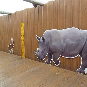 Africa! - Animal Signs