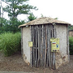 Africa! - Village Hut