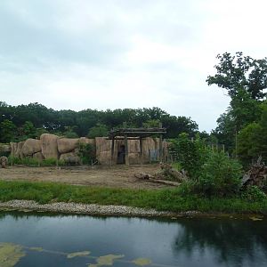 Africa! - White Rhino/Grevy's Zebra Exhibit
