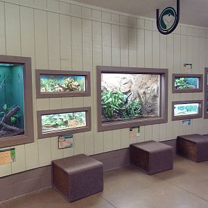 Tropics Building - Assorted Terrariums