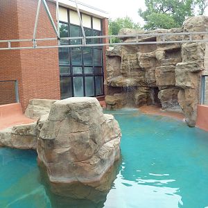 Tropics Building - California Sea Lion Exhibit