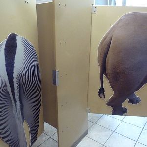 Tropics Building - Washroom Stalls