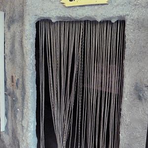 Tropics Building - Bat Cave