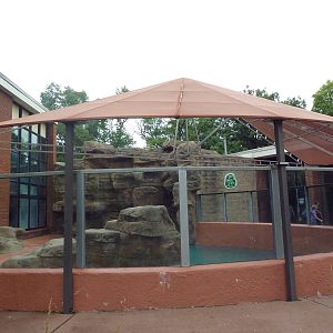 Tropics Building - California Sea Lion Exhibit