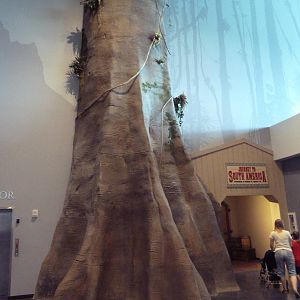 Journey to South America - Entrance