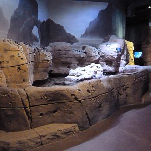 Ocean Explorer - Rocky Shore Touch Pool