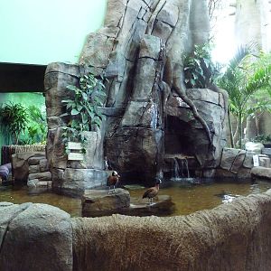 Journey to South America