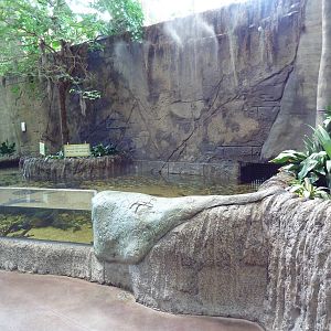 Journey to South America - Stingray Exhibit