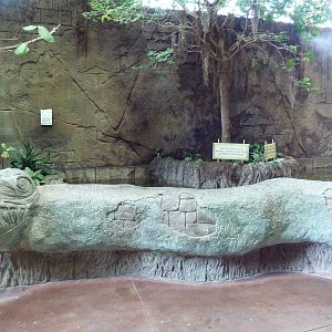 Journey to South America - Stingray Exhibit