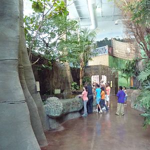 Journey to South America