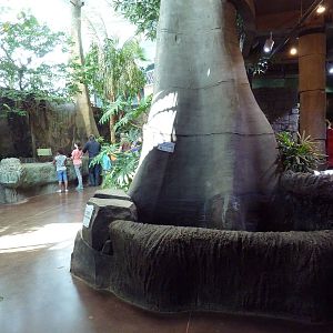 Journey to South America