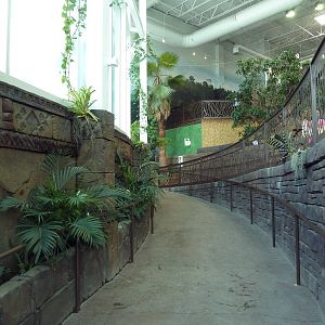 Journey to South America - Pathway to 2nd Level