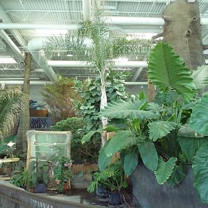 Journey to South America