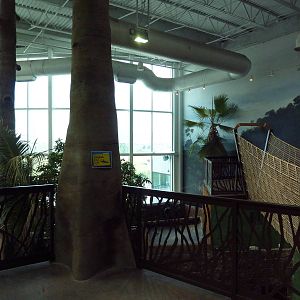 Journey to South America - Upper Level