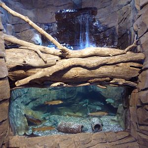 Discover Utah - Flaming Gorge Exhibit