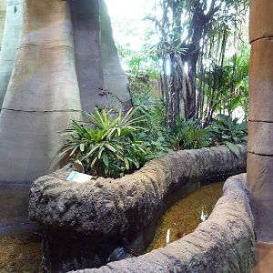 Journey to South America - Turtle Exhibit