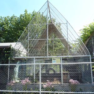 African Black Leopard Exhibit