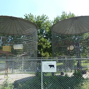 Japanese Macaque Exhibit (two joined together)