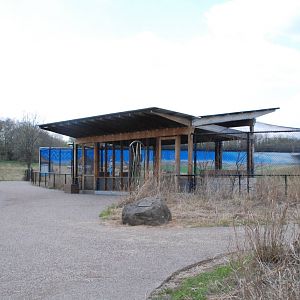 ICF - Blue Crane Exhibit