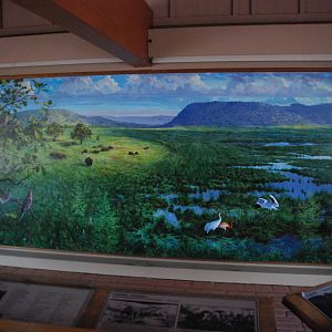 ICF - Whooping Crane Mural