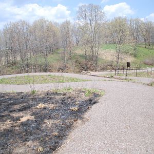 ICF - Controlled Burn Area