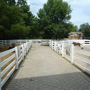 Farmyard - Outdoor Stalls