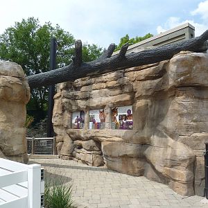 Bobcat Exhibit - New in 2012