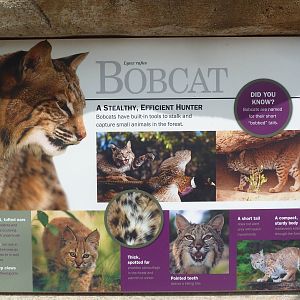 Bobcat Exhibit Sign - New in 2012