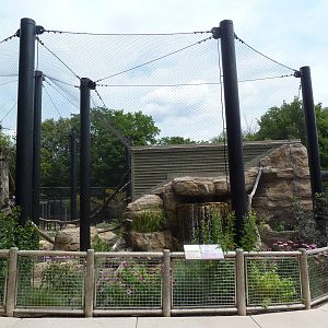 Bobcat Exhibit - New in 2012