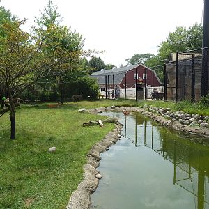 White-Tailed Deer/Sandhill Crane/Turkey Vulture Exhibit