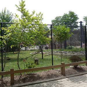 White-Tailed Deer/Sandhill Crane/Turkey Vulture Exhibit