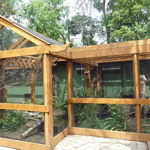 Bird Aviaries