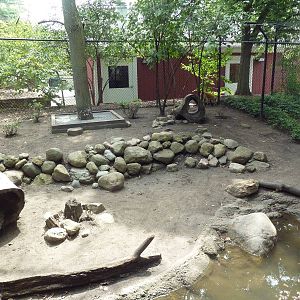 Red Fox Exhibit