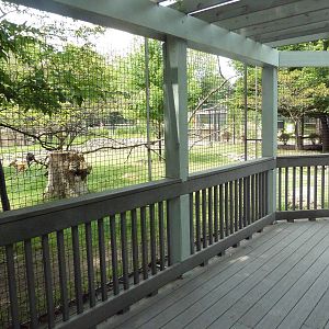 White-Tailed Deer/Sandhill Crane/Turkey Vulture Exhibit