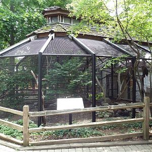 Great Horned Owl Exhibit