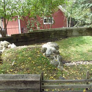 Farmyard - Domestic Rabbit Enclosure