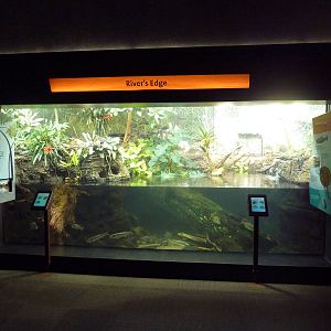 Amazon Rising - River's Edge Exhibit