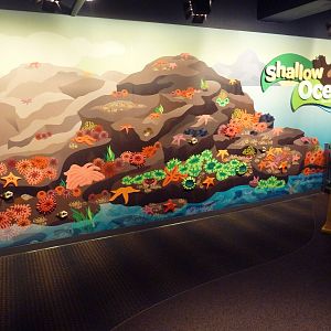 Oceanarium - Kid Zone Mural