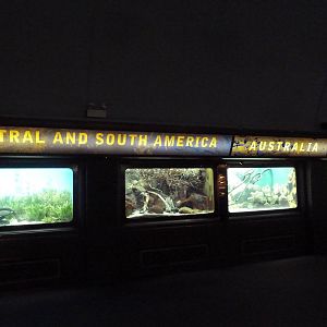South American + Australian Exhibits