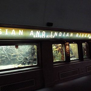 Asian + Indian Rivers