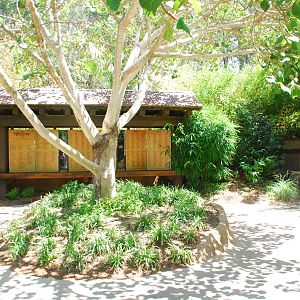 SDWAP - Tiger Trail - Donor Wall and Entry