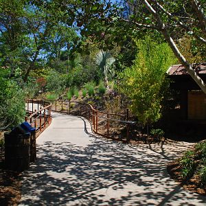 SDWAP - Tiger Trail - Walkway to Condor Ridge