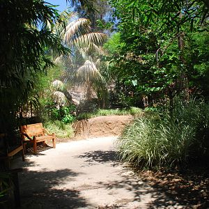 SDWAP - Tiger Trail - Walkway