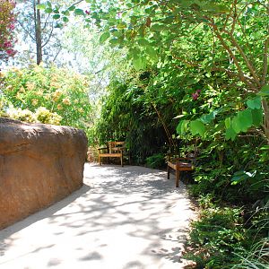 SDWAP - Tiger Trail - Walkway