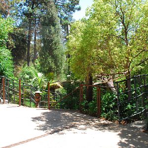 SDWAP - Tiger Trail - Log Walk