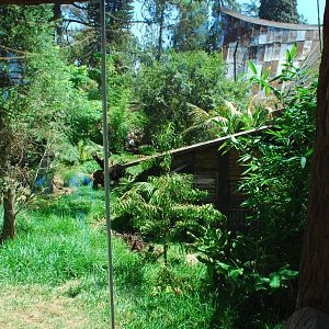 SDWAP - Tiger Trail - Log Walk