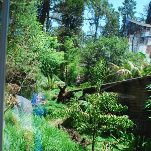 SDWAP - Tiger Trail - Log Walk